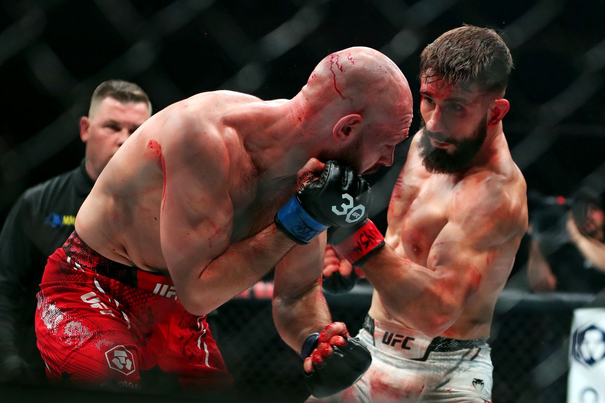 MMA: UFC 295 - Sadykhov vs Borshchev