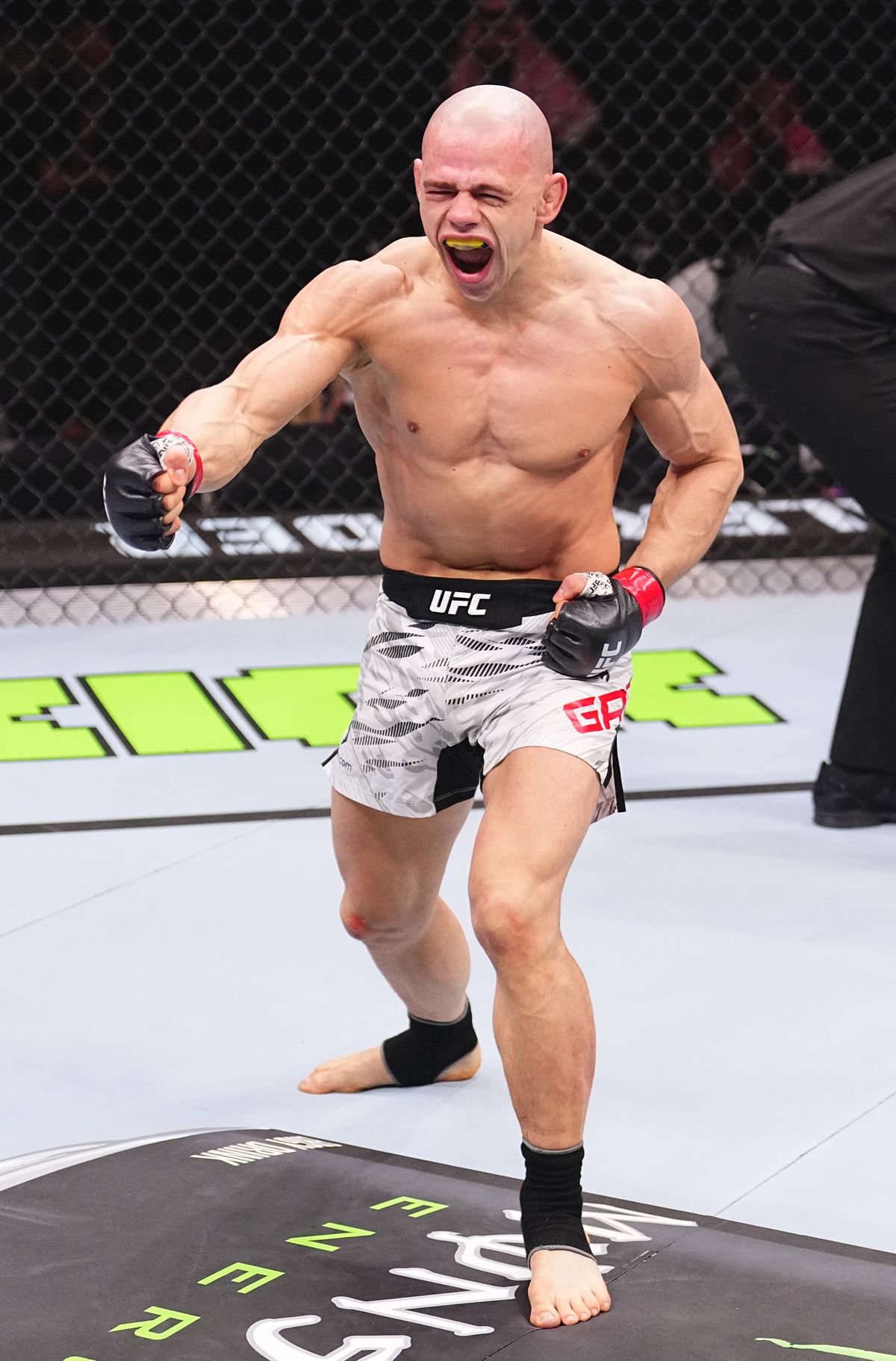 UFC Fight Night: Grad v Alexander
