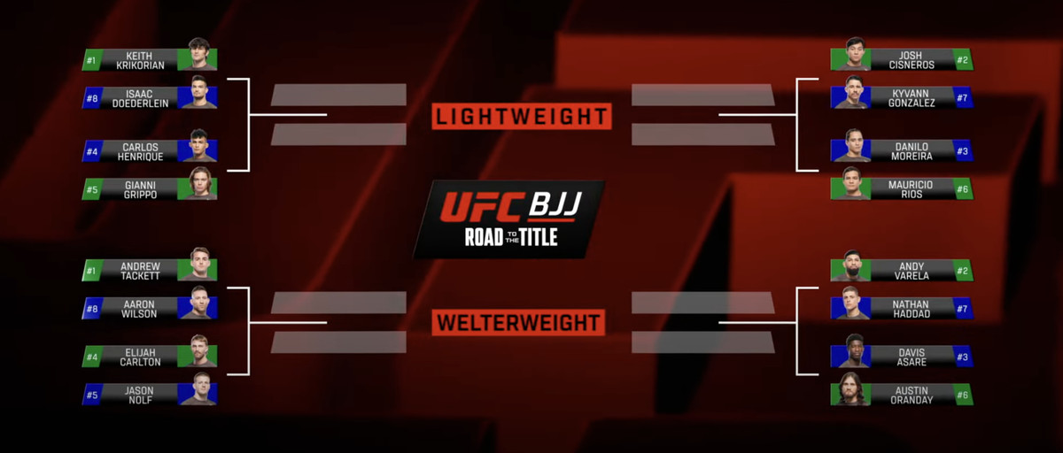 UFC BJJ: Road to the Title brackets