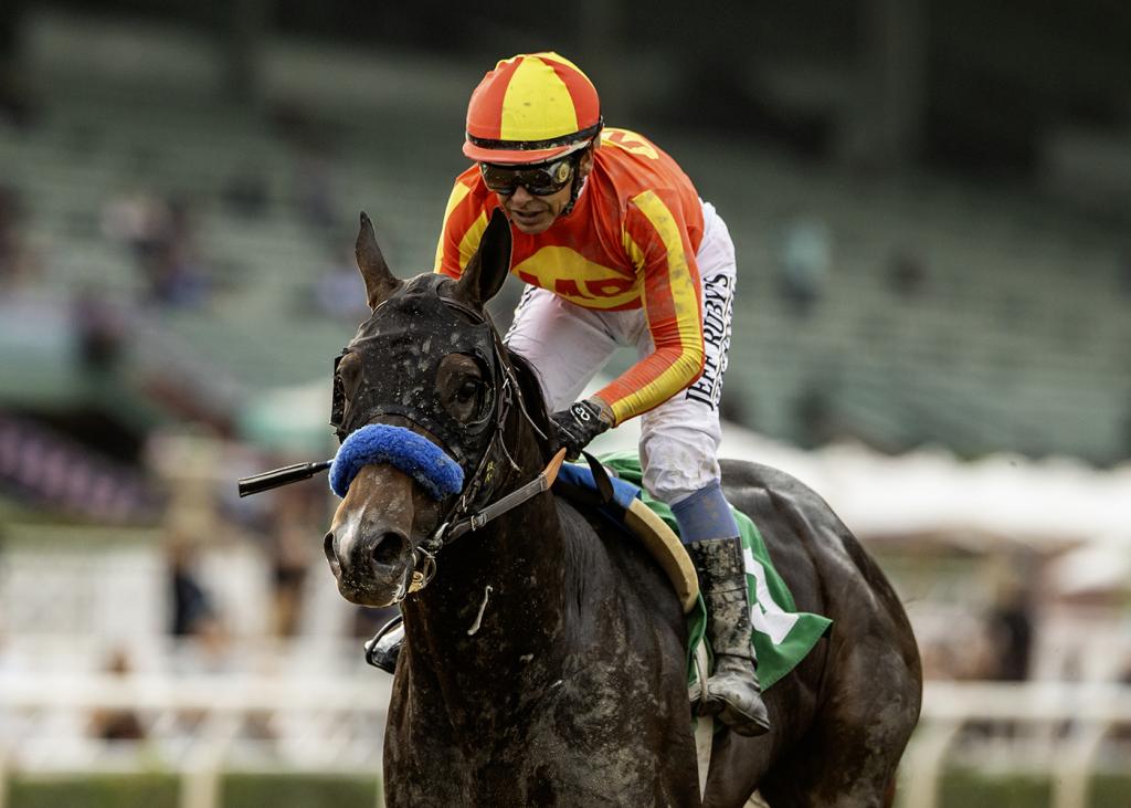 Goodwood Stakes victor Nevada Beach (BENOIT photo)