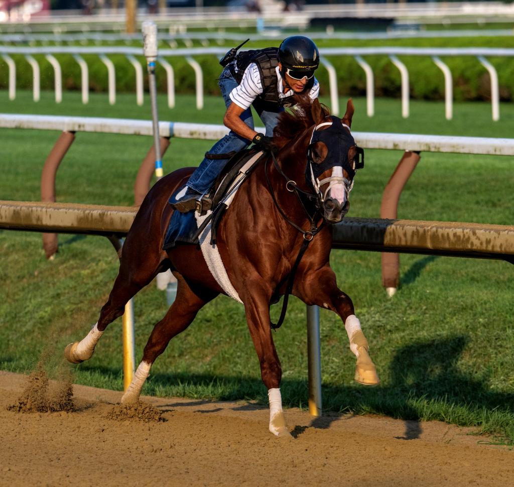 Jockey Club Gold Cup Stakes champion Antiquarian (Skip Dickstein/BloodHorse)