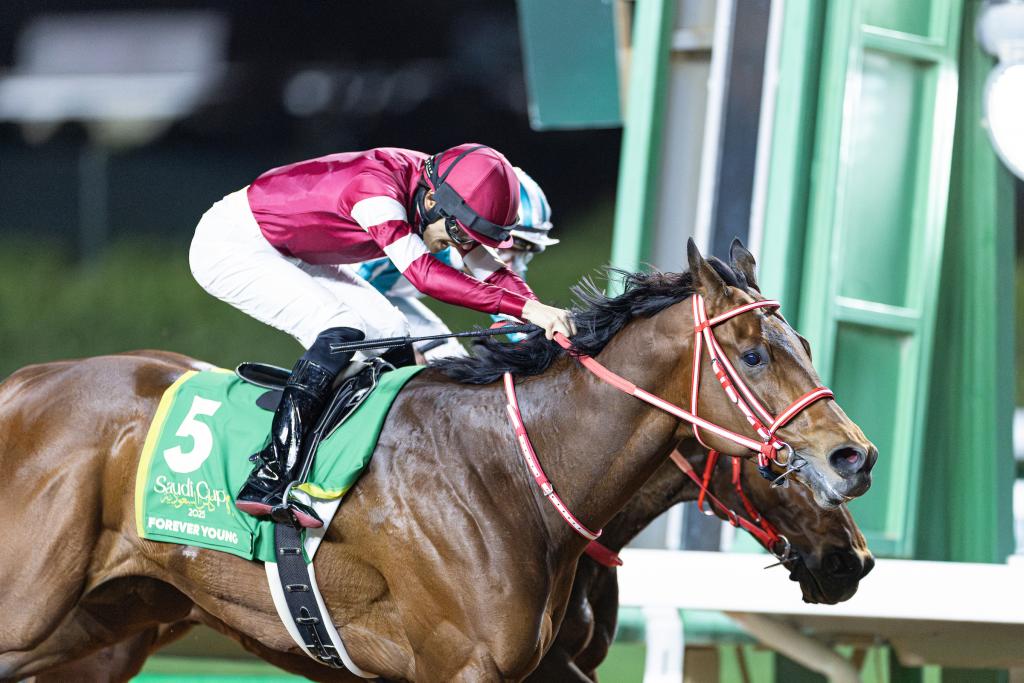 Saudi Cup victor Forever Young (Eclipse Sportswire)