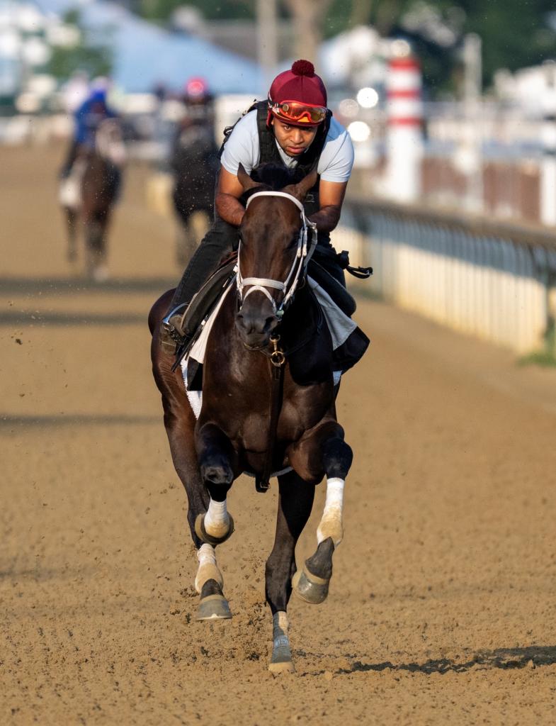 Stephen Foster Stakes winner Mindframe (Skip Dickstein/BloodHorse)