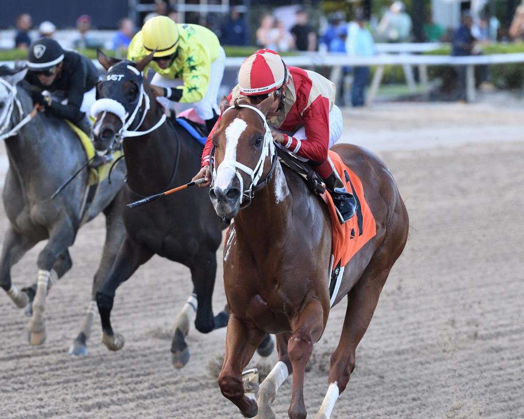 Jockey Club Gold Cup Stakes champion Antiquarian (Ryan Thompson/Coglianese Photo)
