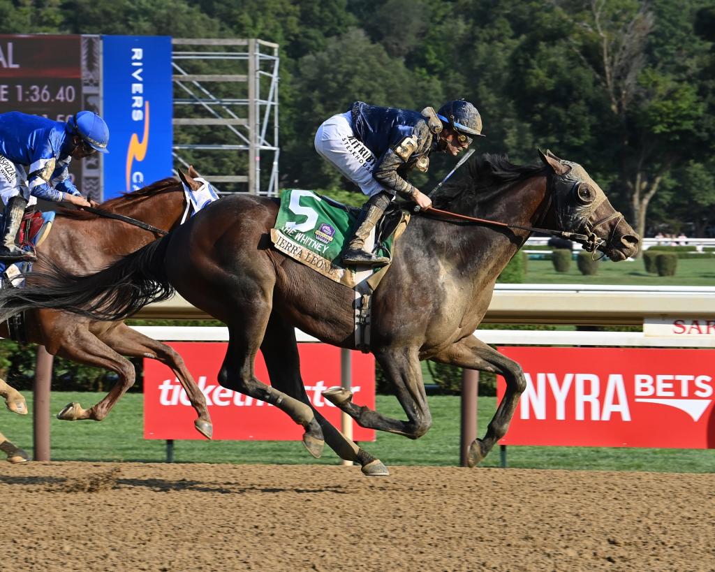 Breeders’ Cup Classic defending champion and Whitney Stakes victor Sierra Leone (Susie Raisher/NYRA)