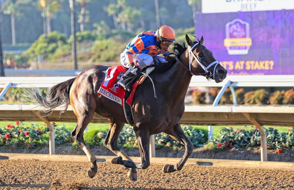 Pacific Classic Stakes champion Fierceness (Eclipse Sportswire)