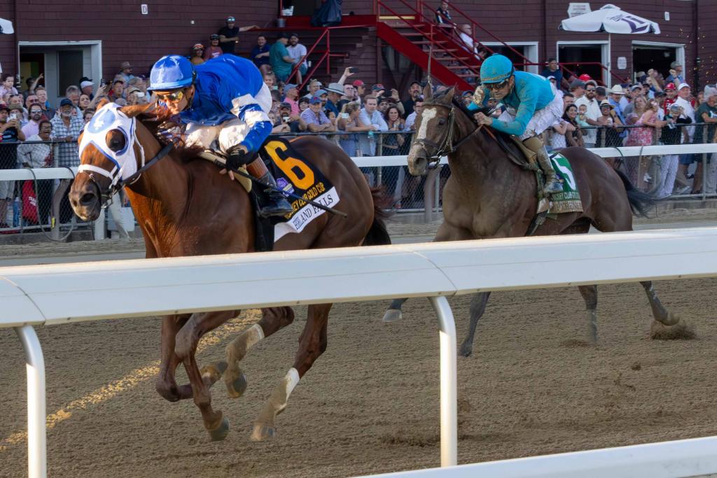 Whitney Stakes second-place finisher Highland Falls, a multiple graded stakes victor (Eclipse Sportswire)