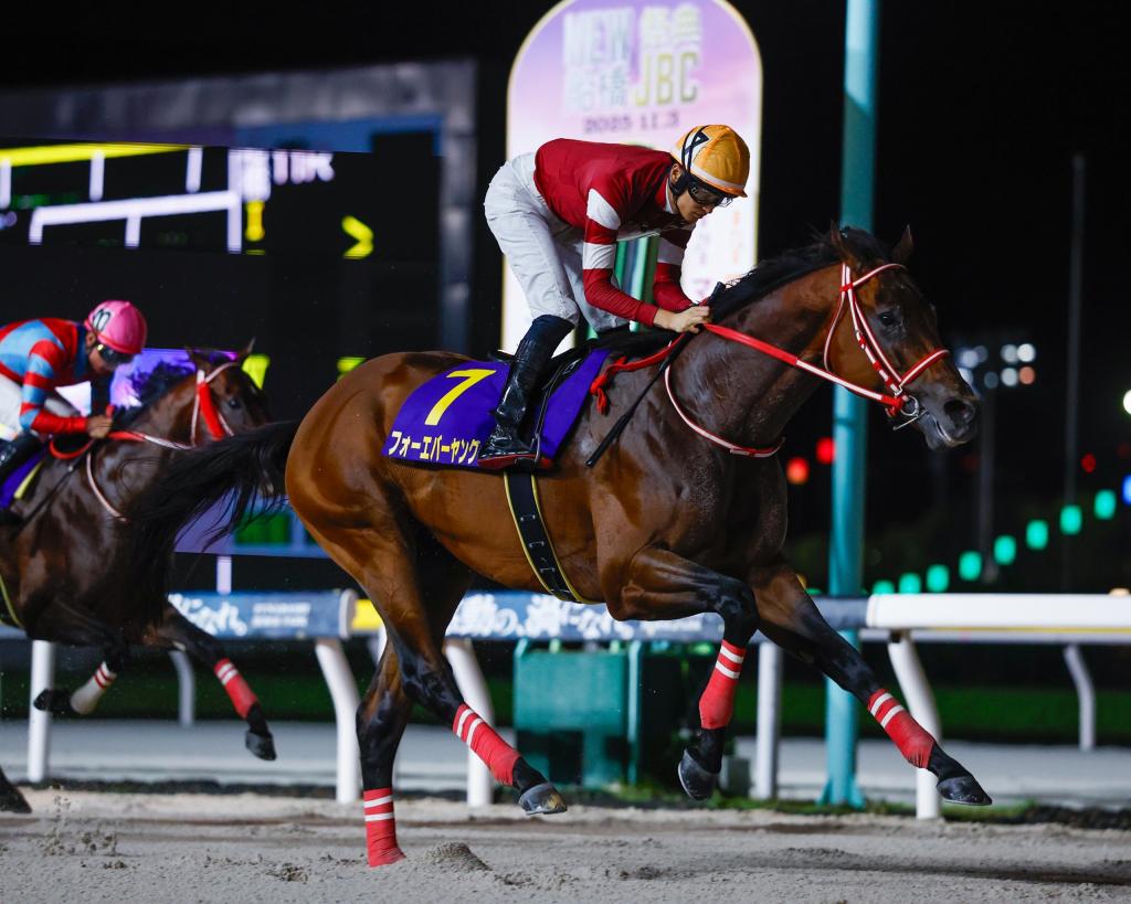 Saudi Cup victor Forever Young (Masakasu Takahashi photo)