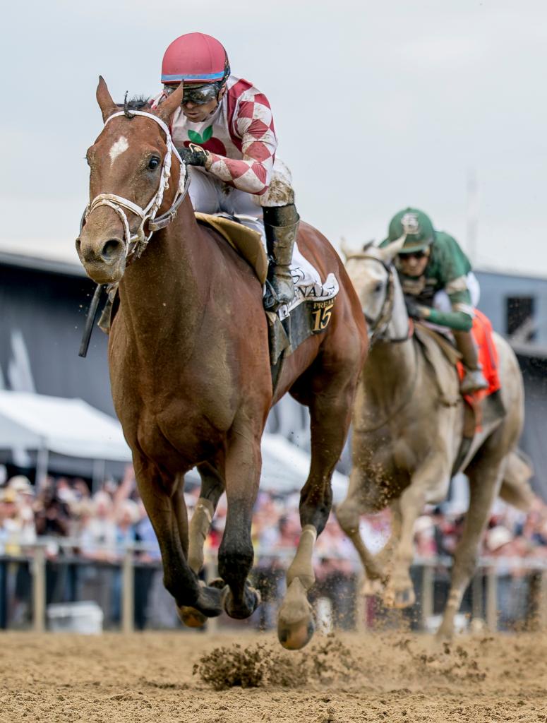 Preakness and Haskell Stakes champion Journalism (Eclipse Sportswire)