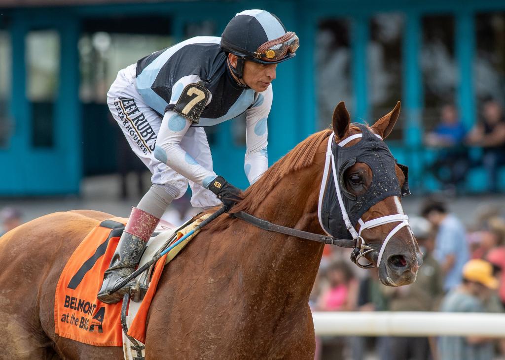 Woodward Stakes and Santa Anita Handicap champion Locked (Eclipse Sportswire)