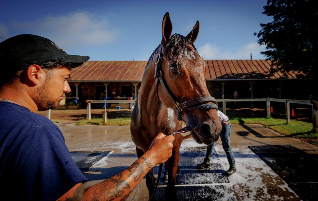 Breeders’ Cup Classic defending champion and Whitney Stakes victor Sierra Leone (Eclipse Sportswire)