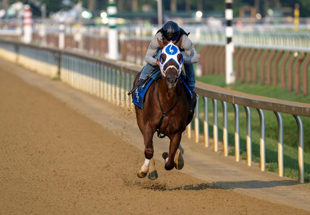 Whitney Stakes second-place finisher Highland Falls, a multiple graded stakes victor (Skip Dickstein/BloodHorse)