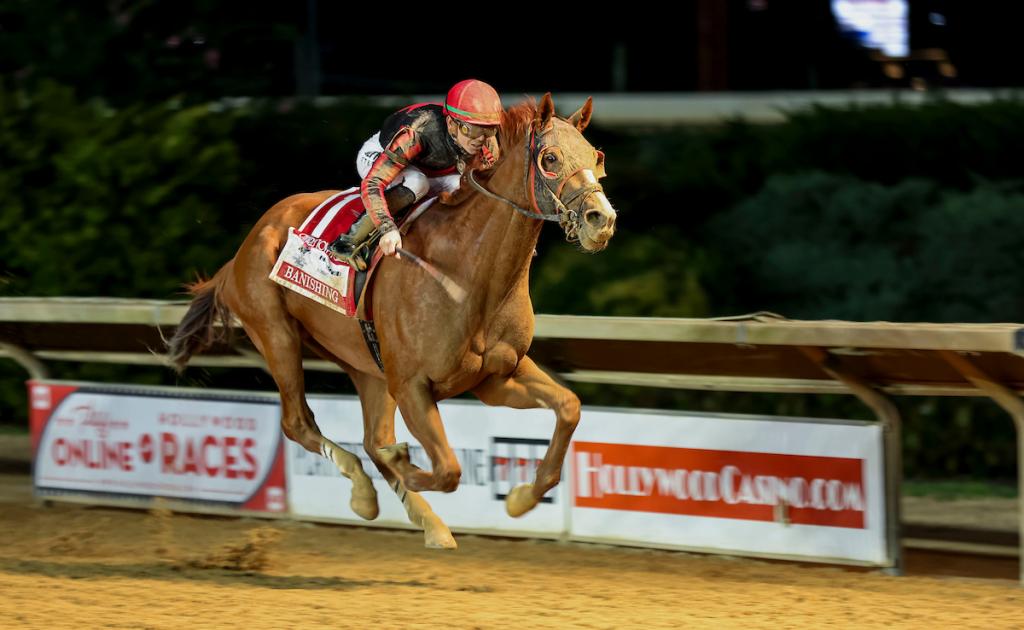 Banishing, an equine boasting multiple graded stakes triumphs. (Photo by Eclipse Sportswire)