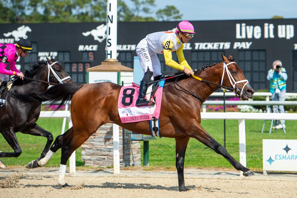 Skippylongstocking, a horse with ten graded stakes victories, who claimed the Harlan's Holiday Stakes on Dec. 20 at Gulfstream Park. (Provided by Eclipse Sportswire)