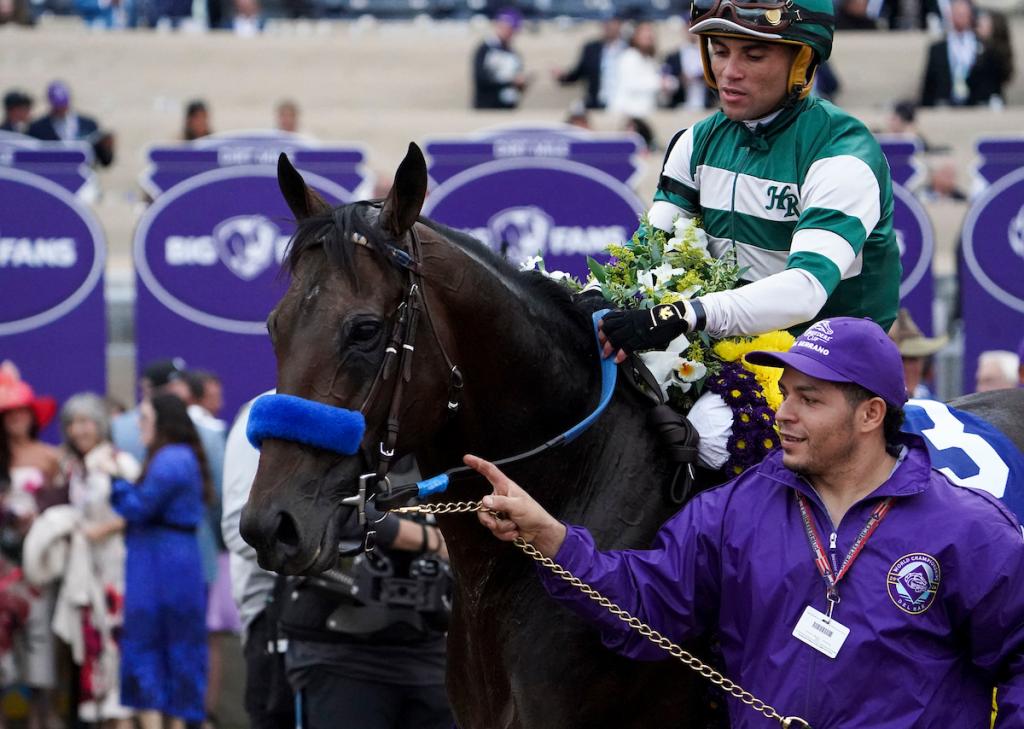 Full Serrano, the triumphant horse in the 2024 Breeders' Cup Dirt Mile. (Photo credit: Eclipse Sportswire)