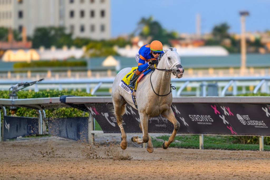 White Abarrio, the 2025 Pegasus World Cup champion and victor of the 2023 Breeders' Cup Classic. (Image by Eclipse Sportswire)
