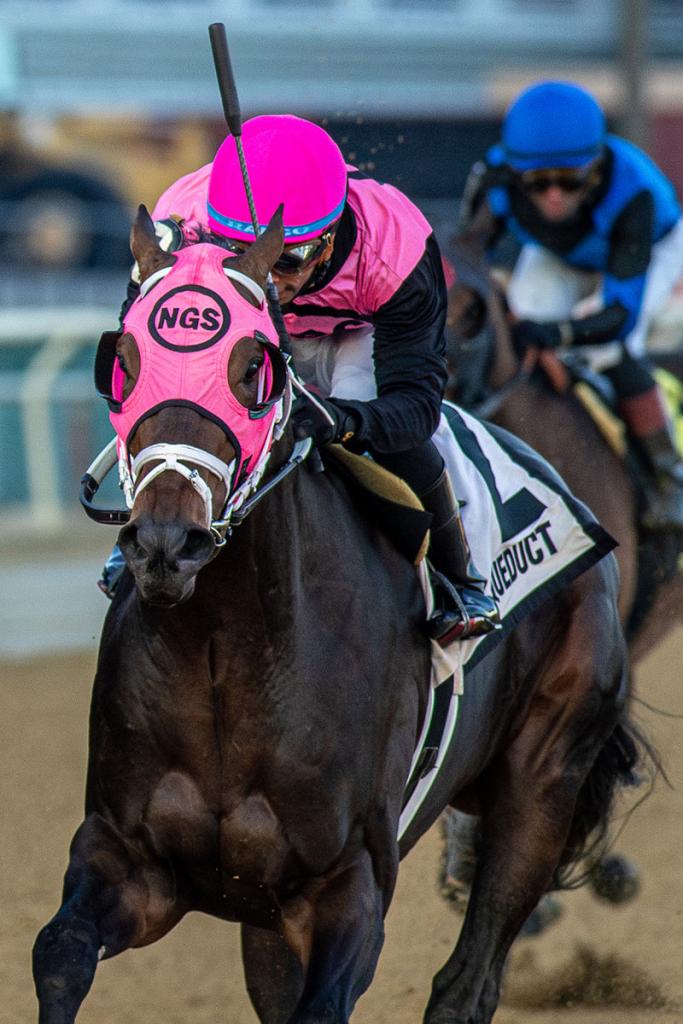 Mika, who placed second in the Cigar Mile Handicap. (Eclipse Sportswire)