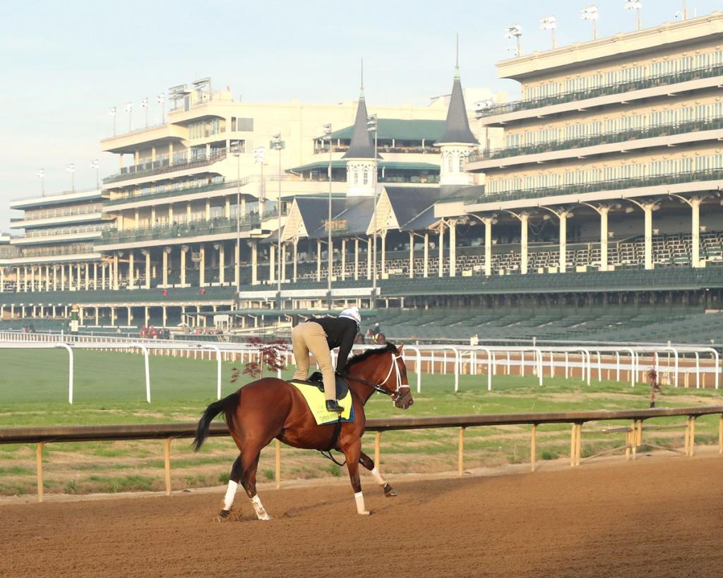 Tappan Street, the victor of the 2025 Florida Derby. (Photo from Coady Media)