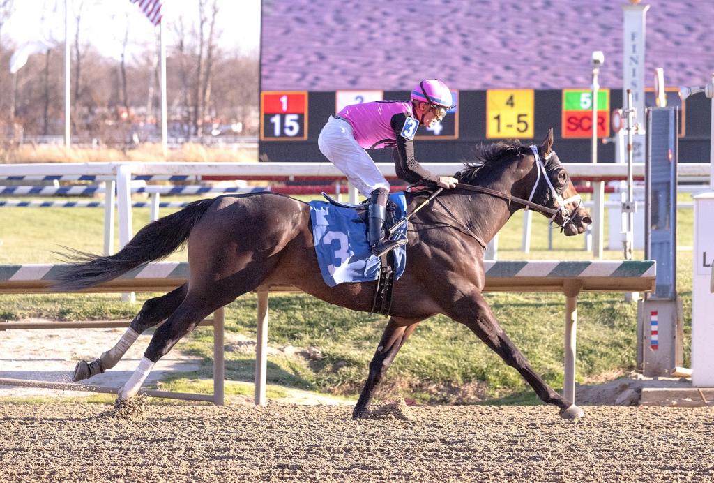 Mika, who placed second in the Cigar Mile Handicap. (Captured by Jim McCue/Maryland Jockey Club)