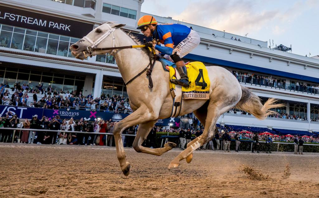 White Abarrio, the 2025 Pegasus World Cup champion and victor of the 2023 Breeders' Cup Classic. (Image by Eclipse Sportswire)