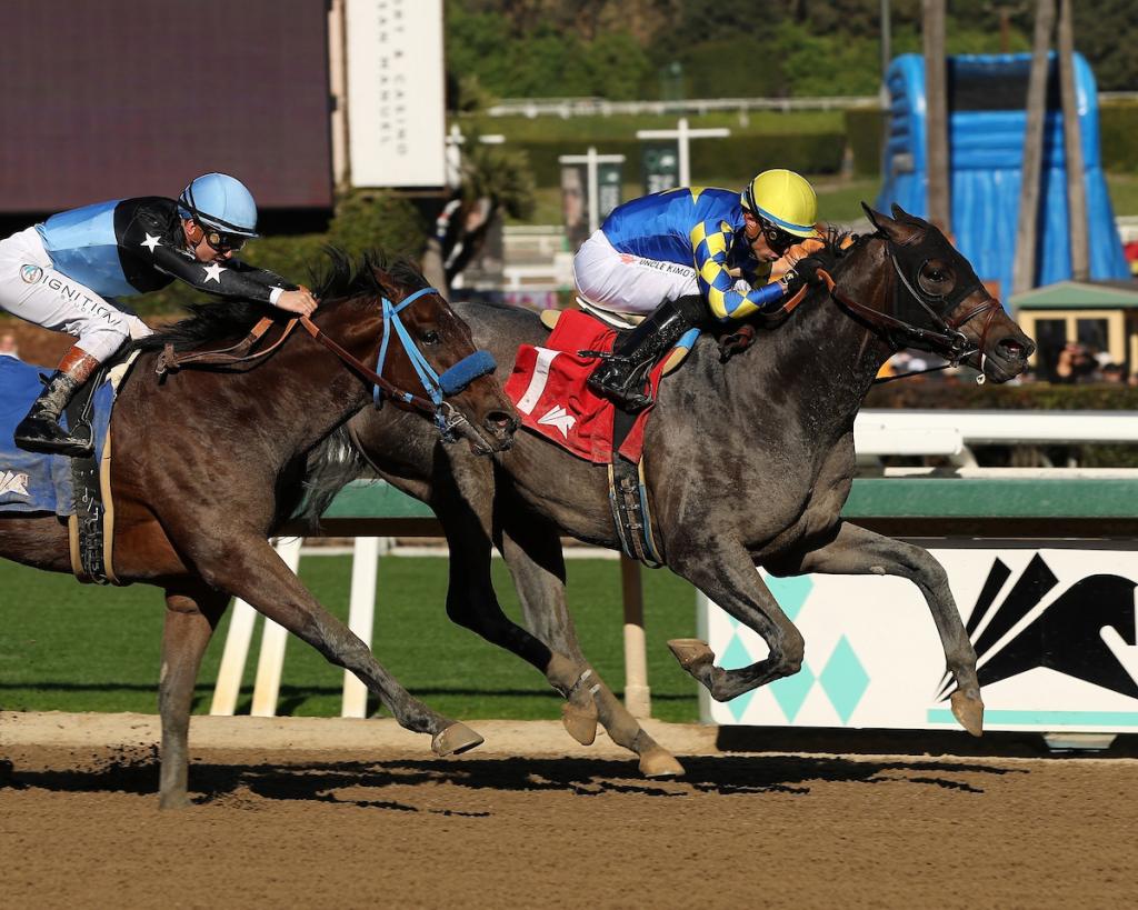Madaket Road, a contender who achieved Grade 1 placing. (Eclipse Sportswire photo)