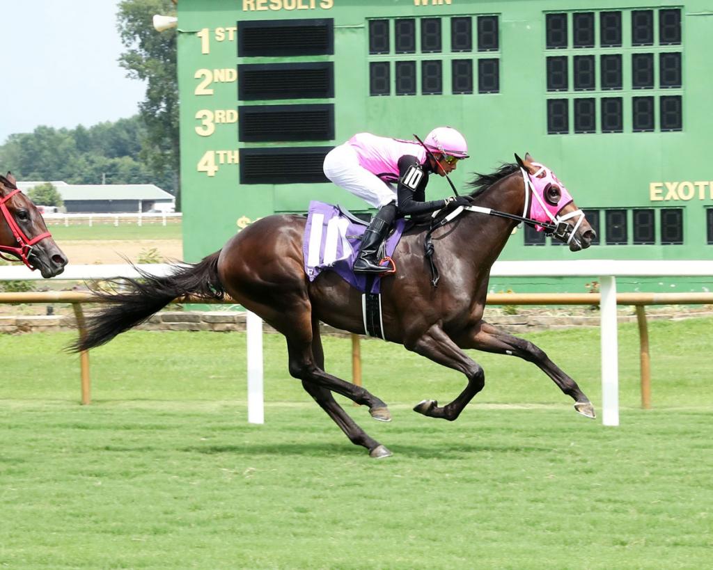 Mika, who placed second in the Cigar Mile Handicap. (Coady Media)