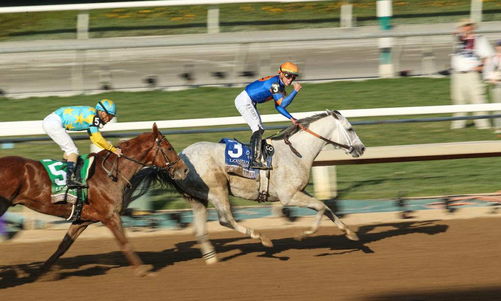 White Abarrio, the 2025 Pegasus World Cup champion and victor of the 2023 Breeders' Cup Classic. (Image by Eclipse Sportswire)
