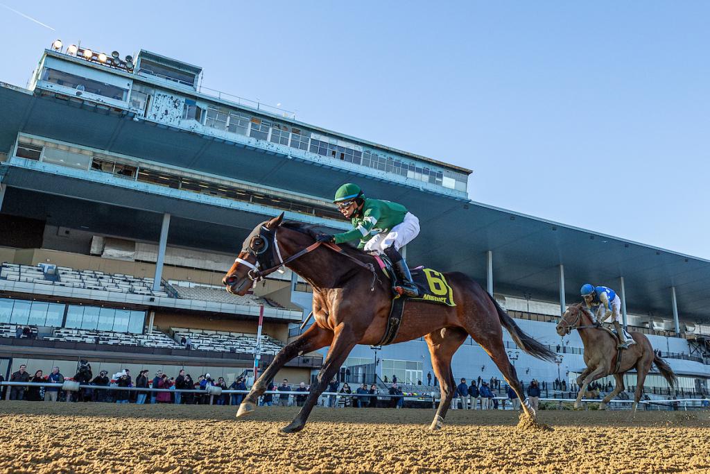 Captain Cook, a stakes victor with Grade 1 placement. (Visuals by Eclipse Sportswire)