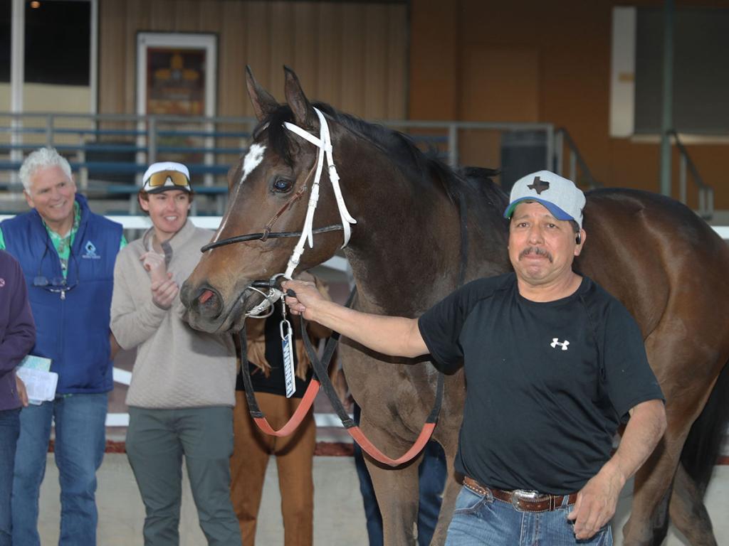 Brotha Keny, a multi-stakes winner achieving Grade 3 placing. (Image by Coady Media)