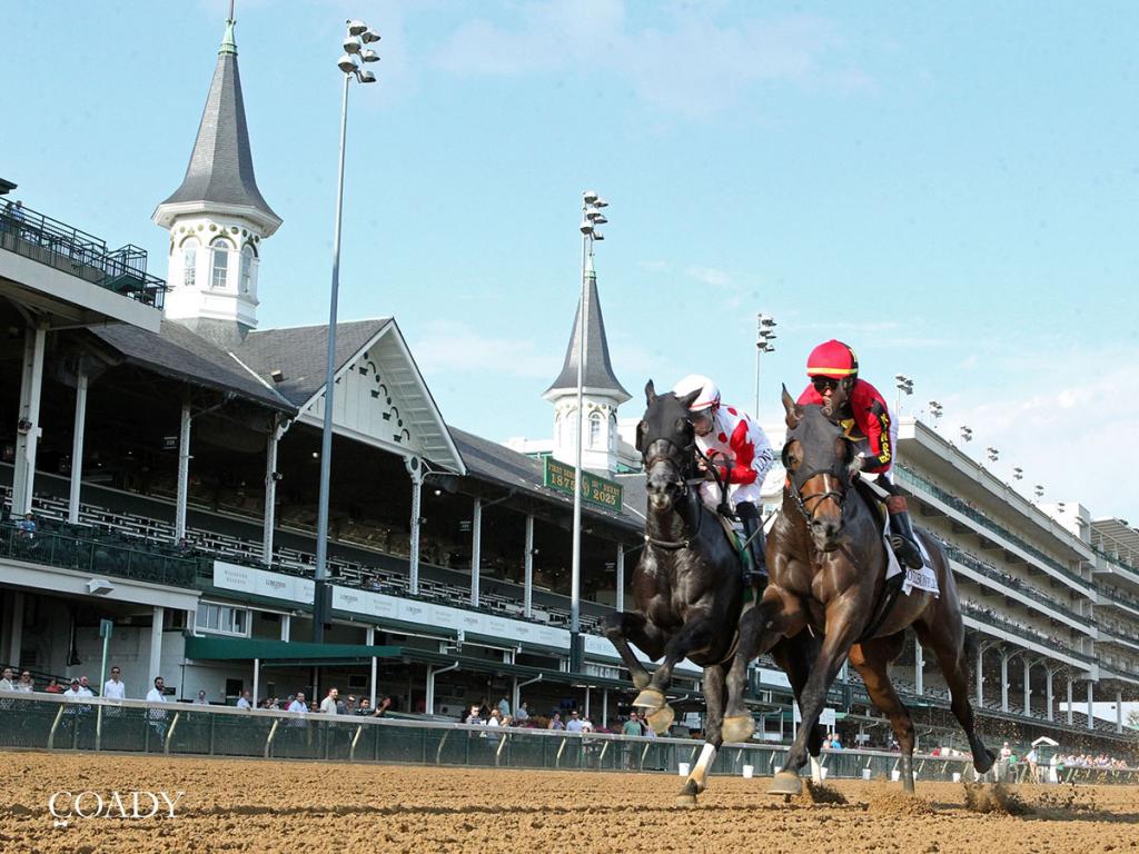 Brotha Keny, a multi-stakes winner achieving Grade 3 placing. (Image by Coady Media)