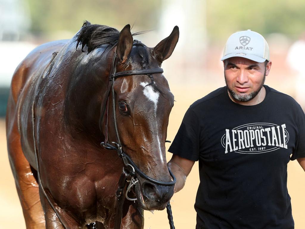 Brotha Keny, a multi-stakes winner achieving Grade 3 placing. (Image by Coady Media)