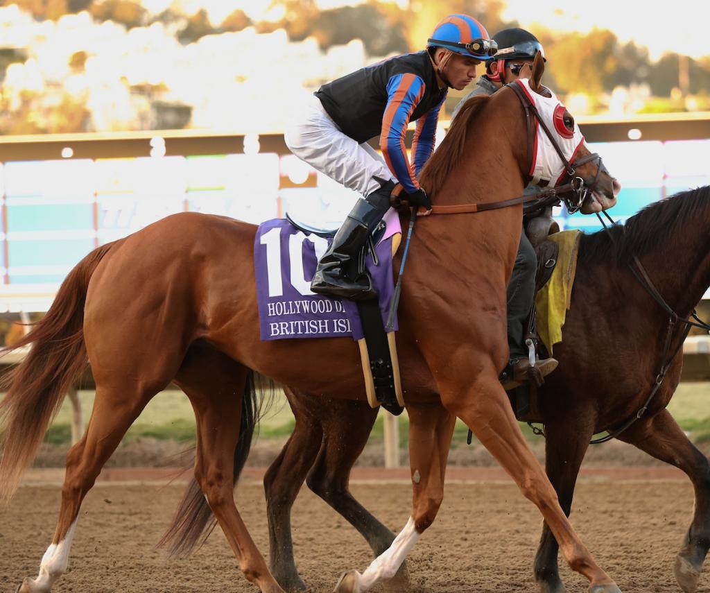 British Isles, the second-place finisher in the Native Diver Stakes. (Eclipse Sportswire)