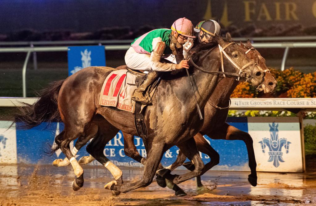 Disco Time, an unbeaten graded stakes champion. (Picture courtesy of Eclipse Sportswire)