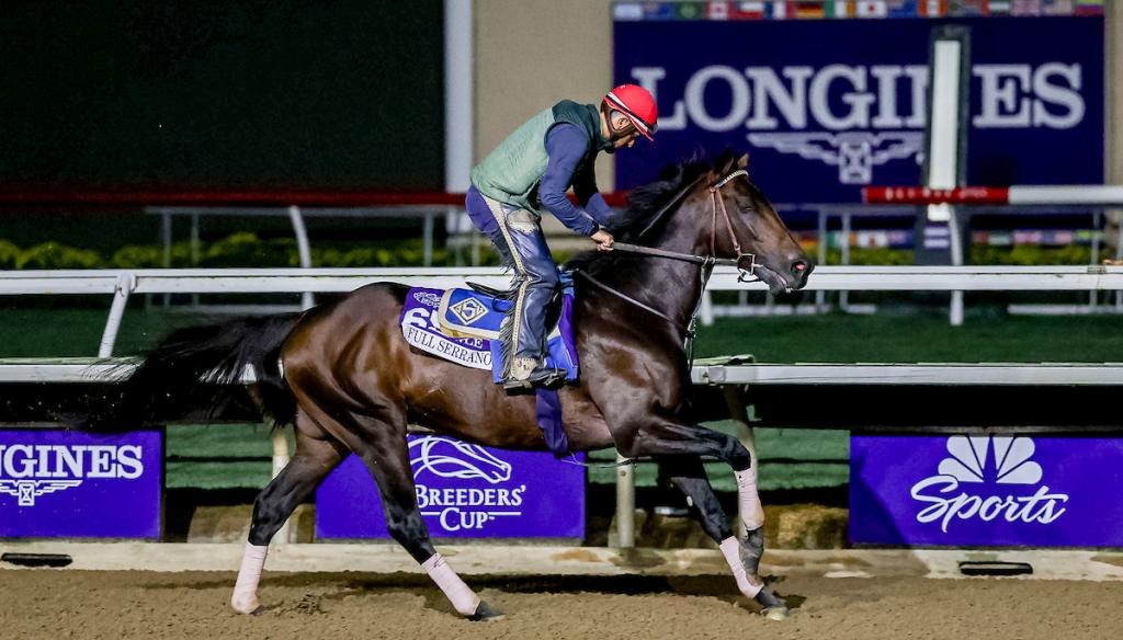 Full Serrano, the triumphant horse in the 2024 Breeders' Cup Dirt Mile. (Photo credit: Eclipse Sportswire)