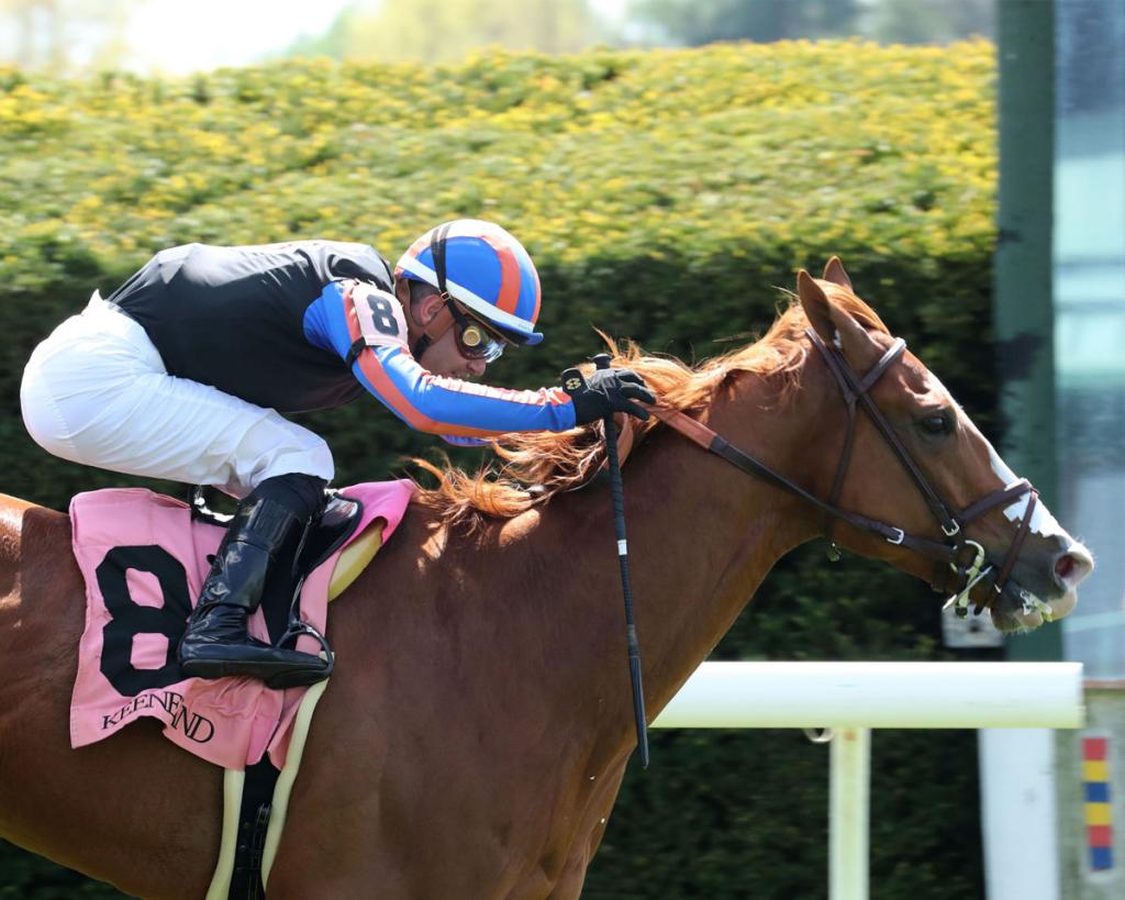 British Isles, the second-place finisher in the Native Diver Stakes. (Coady Media)