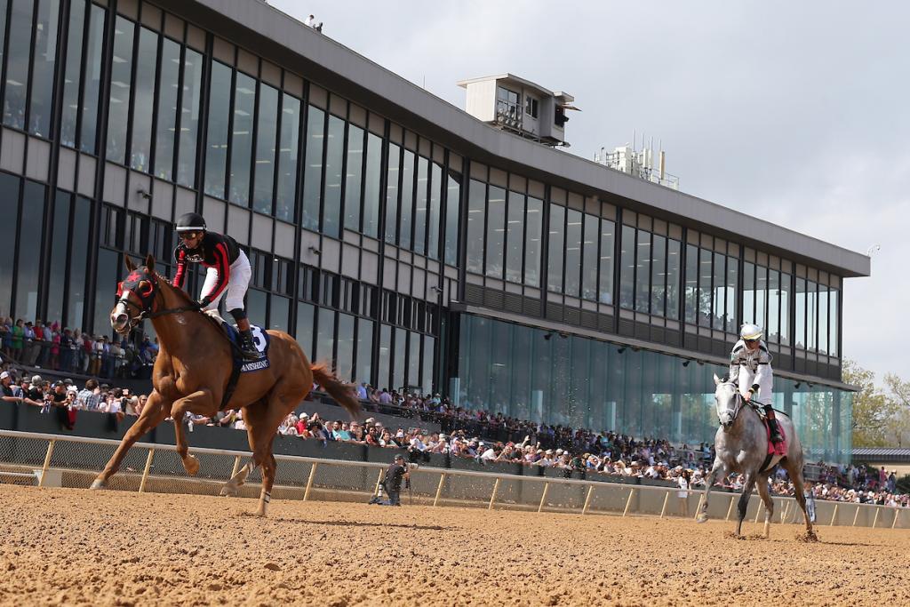 Banishing, an equine boasting multiple graded stakes triumphs. (Photo by Eclipse Sportswire)