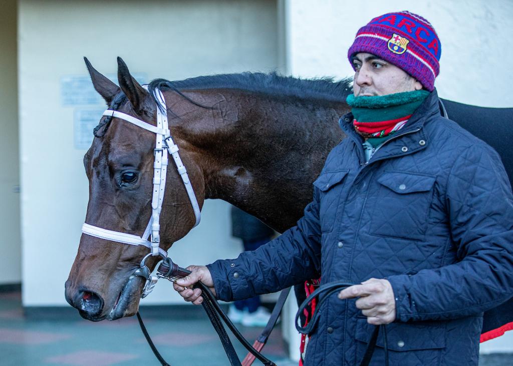 Captain Cook, a stakes victor with Grade 1 placement. (Visuals by Eclipse Sportswire)