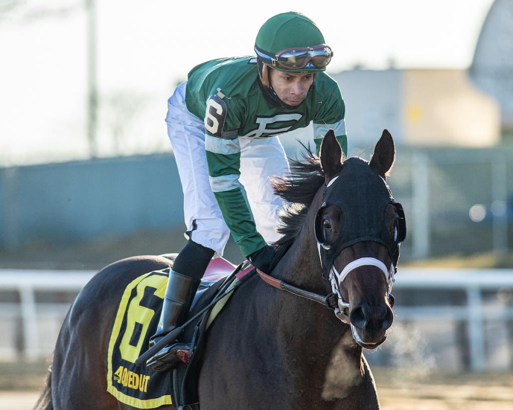 Captain Cook, a stakes victor with Grade 1 placement. (Visuals by Eclipse Sportswire)