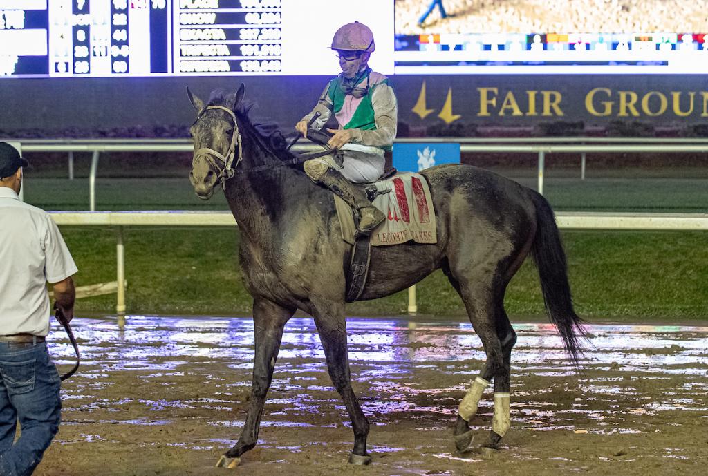 Disco Time, an unbeaten graded stakes champion. (Picture courtesy of Eclipse Sportswire)