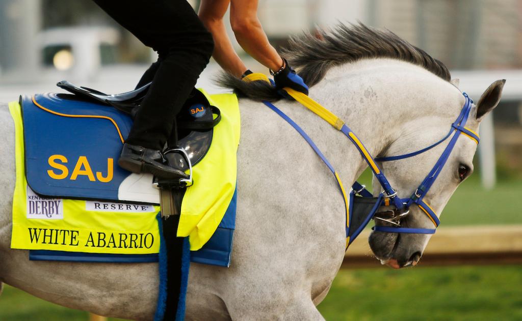 White Abarrio, the 2025 Pegasus World Cup champion and victor of the 2023 Breeders' Cup Classic. (Image by Eclipse Sportswire)