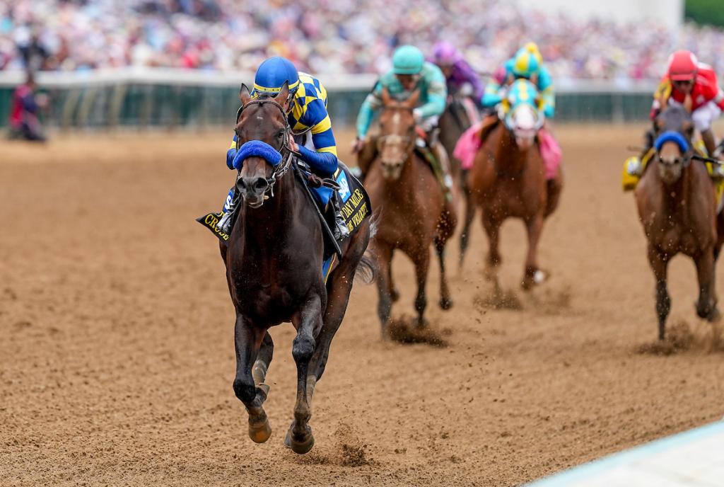 Crude Velocity, maintaining an undefeated record as the Pat Day Mile Stakes victor (Photographs from Eclipse Sportswire)