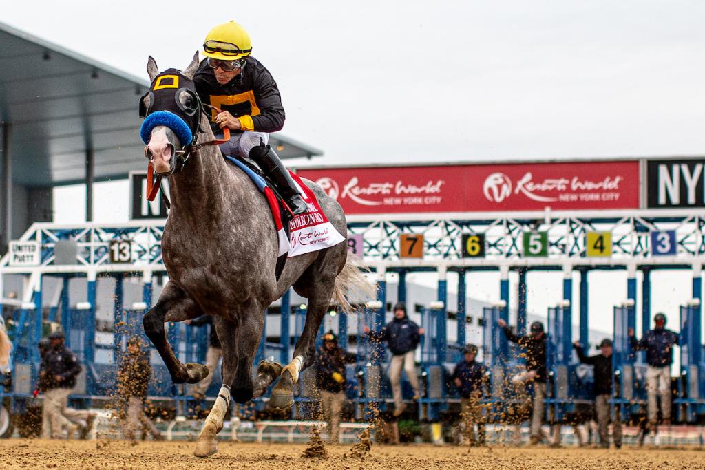 Napoleon Solo, the triumphant horse of the Champagne Stakes (Eclipse Sportswire visuals)