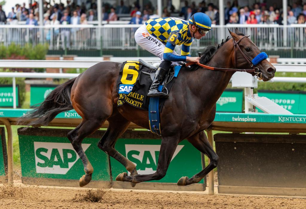 Crude Velocity, maintaining an undefeated record as the Pat Day Mile Stakes victor (Photographs from Eclipse Sportswire)