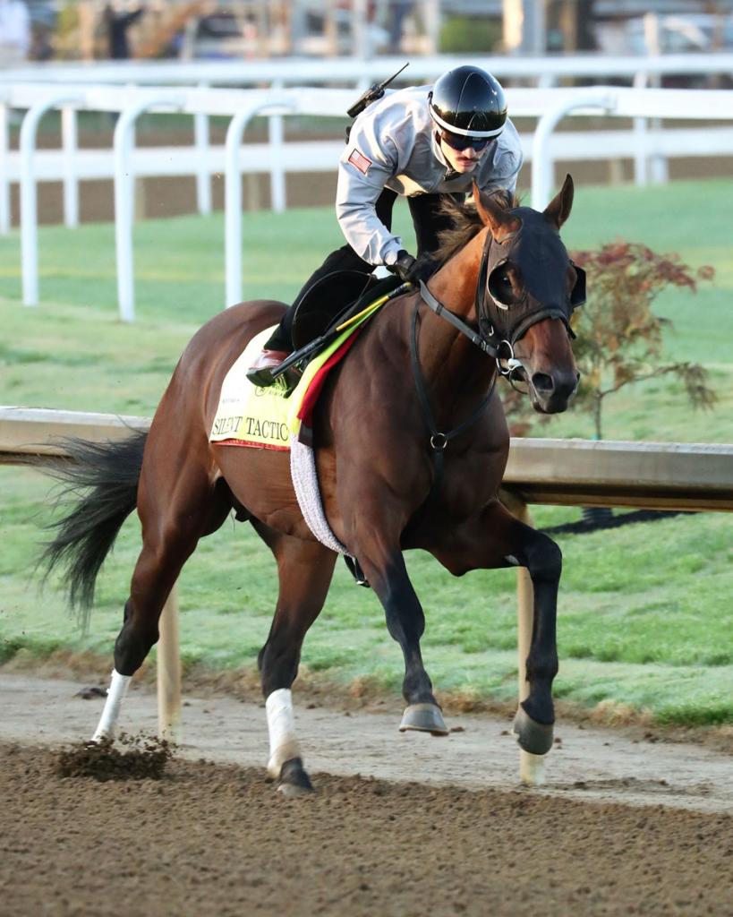 Silent Tactic, the champion of the Southwest Stakes (Captured by Coady Media)
