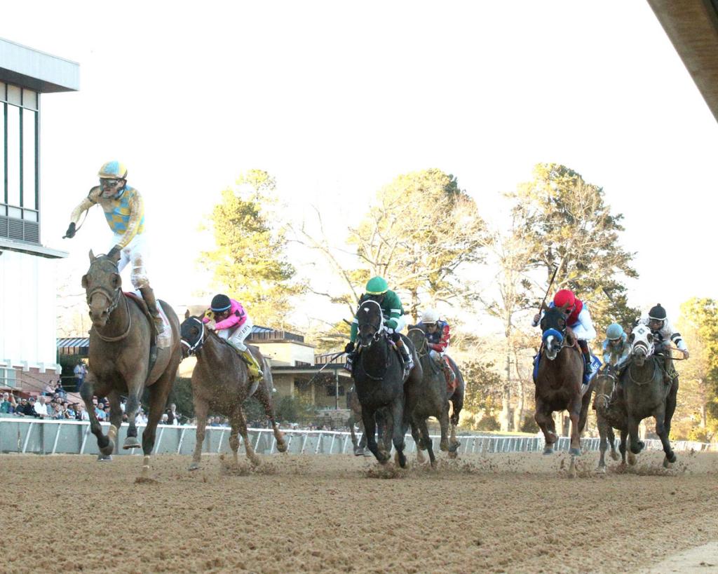 Silent Tactic, the champion of the Southwest Stakes (Captured by Coady Media)