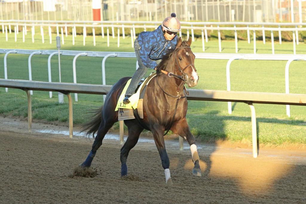 Ocelli, who finished in third position at the Kentucky Derby (Visuals by Coady Media)