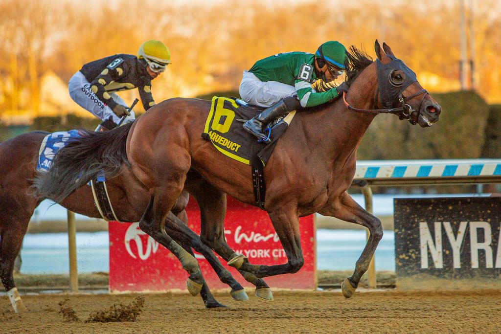 Iron Honor, who secured victory in the Gotham Stakes (Eclipse Sportswire visuals)