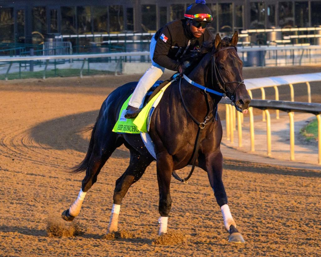 Chip Honcho, the victor of the Gun Runner Stakes (Anne M. Eberhardt/BloodHorse)