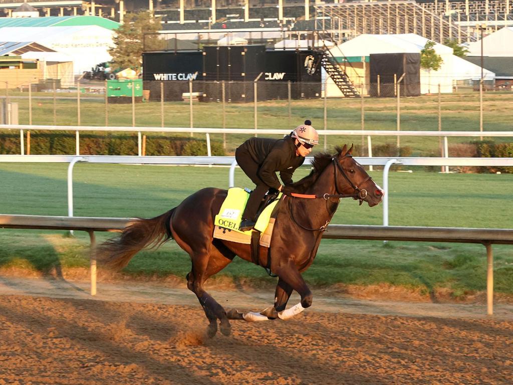 Ocelli, who finished in third position at the Kentucky Derby (Visuals by Coady Media)