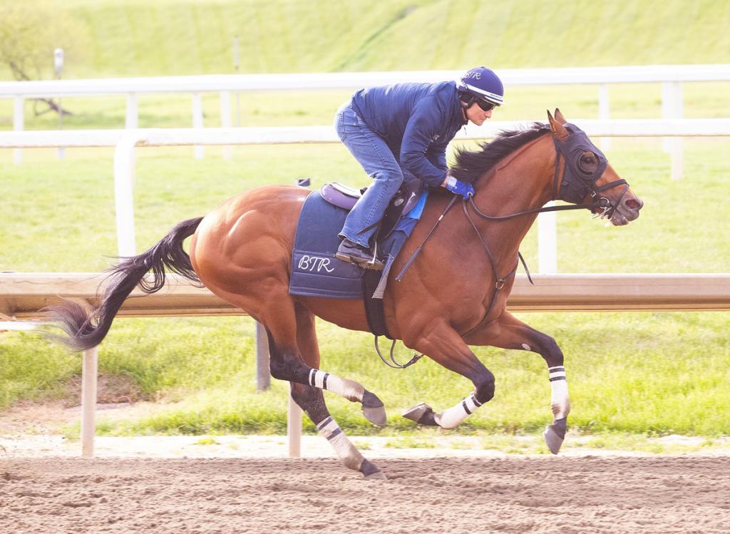 Taj Mahal, retaining an unbeaten record after triumphing in the Federico Tesio Stakes (Photographed by Jim McCue/Maryland Jockey Club)